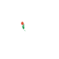 logo Bewegen tegen Parkinson